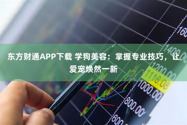 东方财通APP下载 学狗美容：掌握专业技巧，让爱宠焕然一新