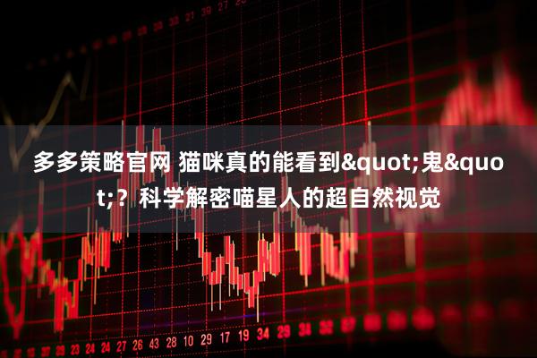 多多策略官网 猫咪真的能看到"鬼"？科学解密喵星人的超自然视觉