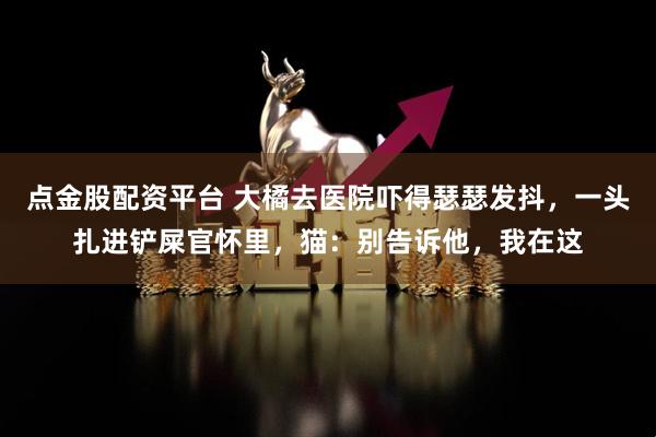 点金股配资平台 大橘去医院吓得瑟瑟发抖，一头扎进铲屎官怀里，猫：别告诉他，我在这