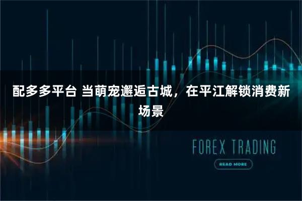 配多多平台 当萌宠邂逅古城，在平江解锁消费新场景