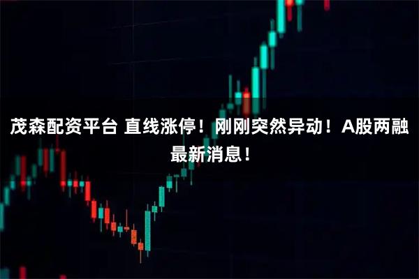 茂森配资平台 直线涨停！刚刚突然异动！A股两融最新消息！