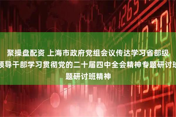 聚操盘配资 上海市政府党组会议传达学习省部级主要领导干部学习贯彻党的二十届四中全会精神专题研讨班精神